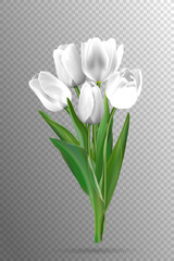 White tulips on a black background