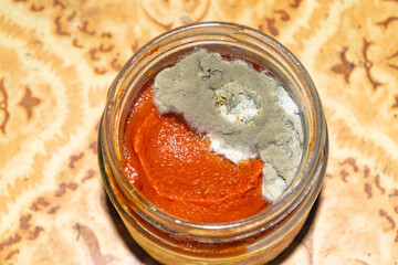 Mold growing on the tomato paste. Close up.