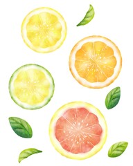 水彩タッチのフレッシュな柑橘フルーツの輪切りと葉っぱ