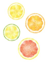 水彩タッチのフレッシュな柑橘フルーツの輪切り
