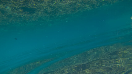 Panoramic scene under water and blue background