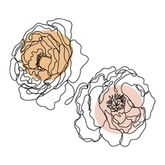 Rose floral line arts frame cover collection. Minimalistic modern line art  Flower with abstract shape background for print, beauty and fashion. vector illustration.