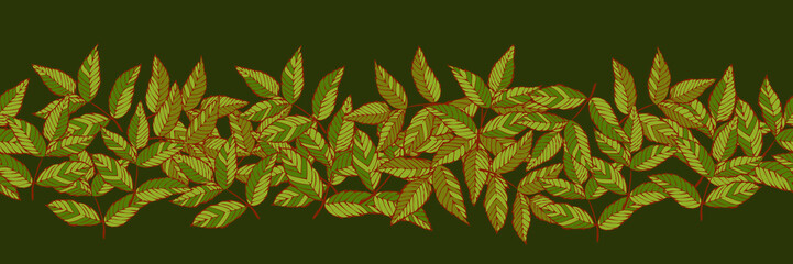 Obraz premium Green leaves of rose border seamless pattern