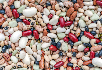 Close up many beans, different kind of beans. Fill frame with mix beans. Concept for vegetarian theme background.