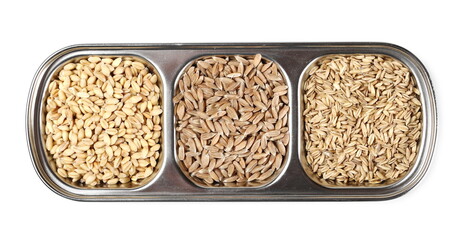 Three different grain piles, types in aluminum canteen food sorting tray, bowl, isolated on white background, top view