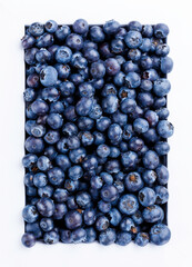 Heidelbeeren im Viereck 