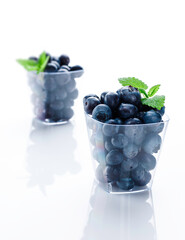 Blaubeeren in Figerfood-Schale