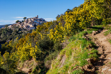 Fototapeta na wymiar Panoramic view of the village Bormes-les-Mimosas. Mimosa trees in bloom in the foreground.