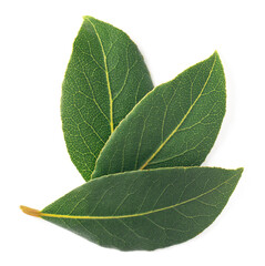 fresh bay leaves isolated on the white background, top view