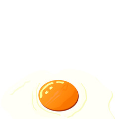 The broken egg on the white background