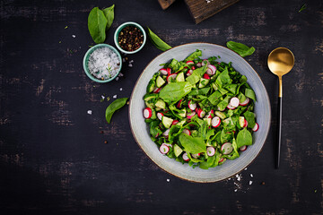 Vegetarian vegetable salad of radish, cucumbers and spinach. Healthy  vegan food.  Top view, overhead, copy space