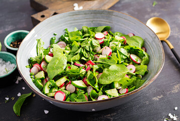 Vegetarian vegetable salad of radish, cucumbers and spinach. Healthy  vegan food.