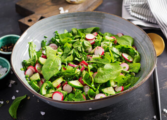 Vegetarian vegetable salad of radish, cucumbers and spinach. Healthy  vegan food.
