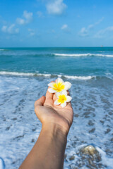 First-person view, the girl holds a frangipani flower in her hand against the background of the sea. Calm and relaxation by the sea concept