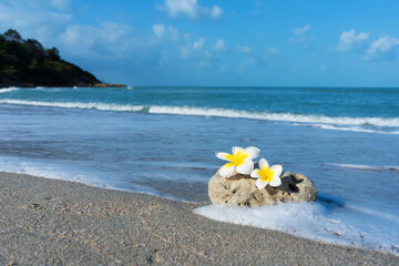 A small stone of an interesting smooth form is washed by waves on the beach. Calm and relaxation by the sea concept