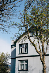 Fototapeta na wymiar The corner of the facade of a gray metal house with wooden windows, near the spring trees in Reykjavik, the capital of Iceland.