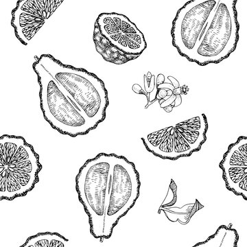Hand drawn seamless pattern with bergamot fruits