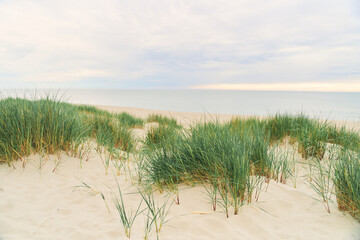 Fototapeta na wymiar Baltic Sea. Beach in the village of Amber. Beach in Russia with a blue flag. Kaliningrad region.
