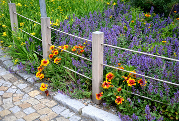 flower beds tend to be more aesthetically impressive. a flowerbed of a sidewalk path with blue flowers separated by a fence of ropes and wooden prisms - obrazy, fototapety, plakaty