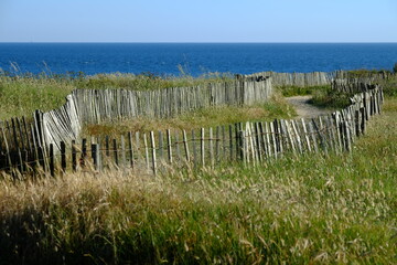 Obraz premium The coast line in Brittany (west of France - may 2020)