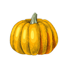 Hand drawn pumpkin