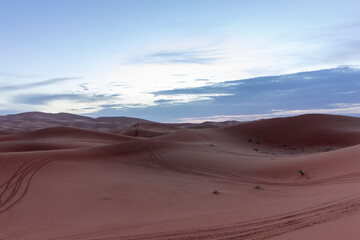 Fototapeta premium landscape at sunset in sahara desert