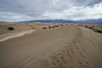 mesquite flat sand dunes in death valley national park in california, usa