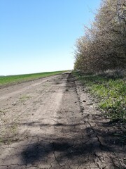 Naklejka premium road in the countryside