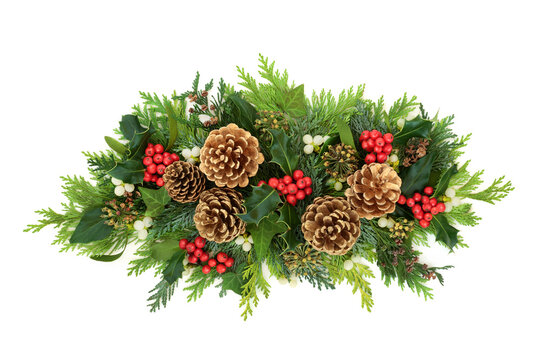 Christmas composition with gold pine cones, holly, mistletoe, ivy & cedar cypress fir leaves on white background. Xmas & New Year decorative display. Flat lay, top view, copy space.