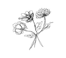 single-line art of flowers, vector outline illustration