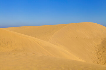 Fototapeta na wymiar Sand dunes in desert