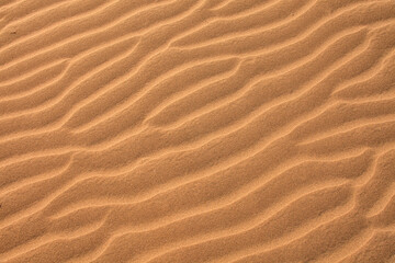 Rippled sand