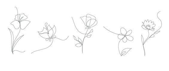 single line art vector flower illustration, outline set of blooming flowers