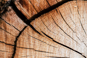 Arrière plan closeup texture bois - tranche de bois coupé et fendu
