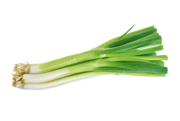 Green onion isolated on the white background