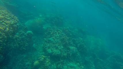 Panoramic scene under water and blue background
