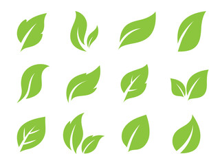 Leaves line vector icon set.  Leaf shapes design for logo and natural beauty design element. Vector illustration.