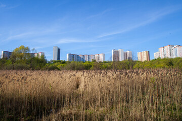 Fototapeta na wymiar Dry grass, climbing a hill and apartment buildings, blue sky without clouds