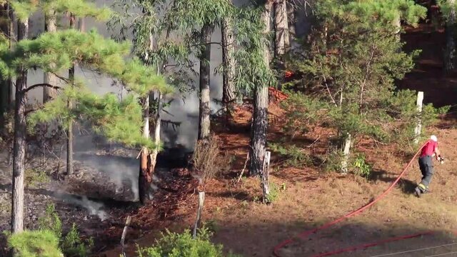 Bombeiro apagando inc&ecirc;ndio florestal