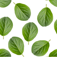 Seamless pattern with green leaves isolated on white background