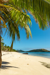 Tropical beach with palm trees