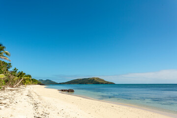 Fototapeta na wymiar Deserted white sandy beach with palm trees and blue sky