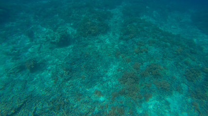 Panoramic scene under water and blue background