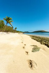 Tropical beach with palm trees and footsteps in the sand