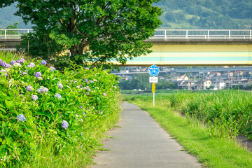 【神奈川 松田】酒匂川沿いの風景