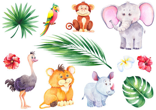 Set of little tropical animals.