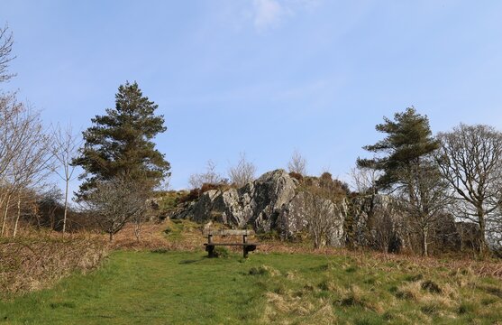 A wooden seat overlooking the deserted picnic ground at Foel Friog in the Dulas Valley, Wales.