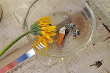 verwelkte blume im aschenbecher