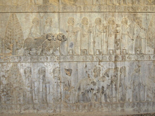 Reliefs from Apadana palace in Persepolis, ex-capital of Ancient Persia, near Shiraz, Persia. Bas-relief is depicting royal servants & nobles, bringing gifts to royal court