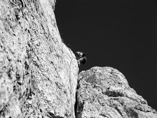 wspinaczka skałkowa